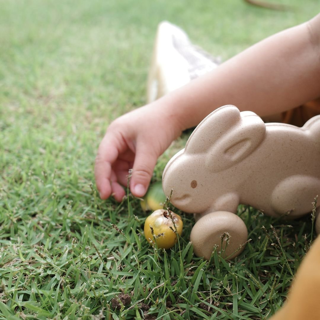 Push Along Bunny - White - The Nurturing Nook
