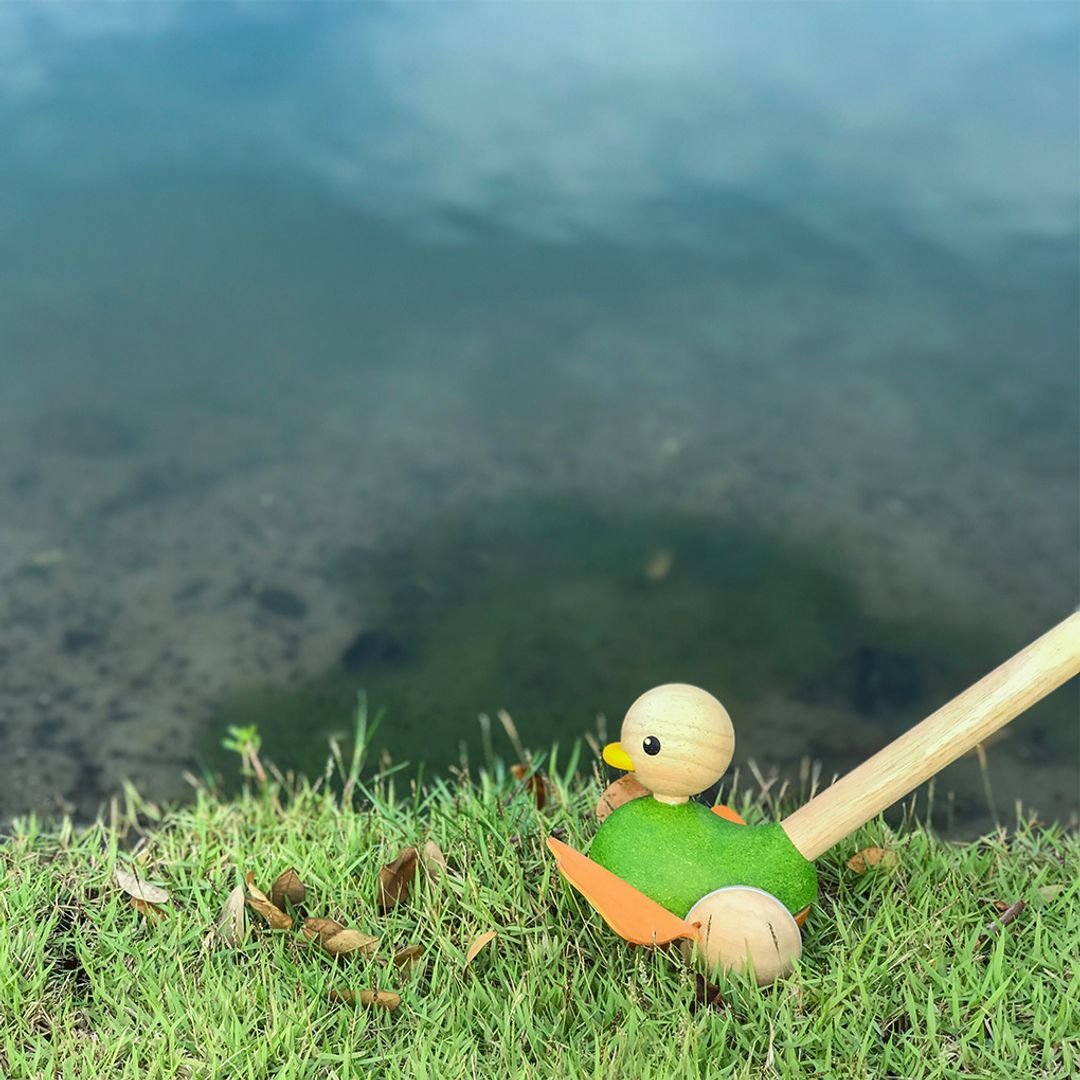 Push Along Duck - The Nurturing Nook
