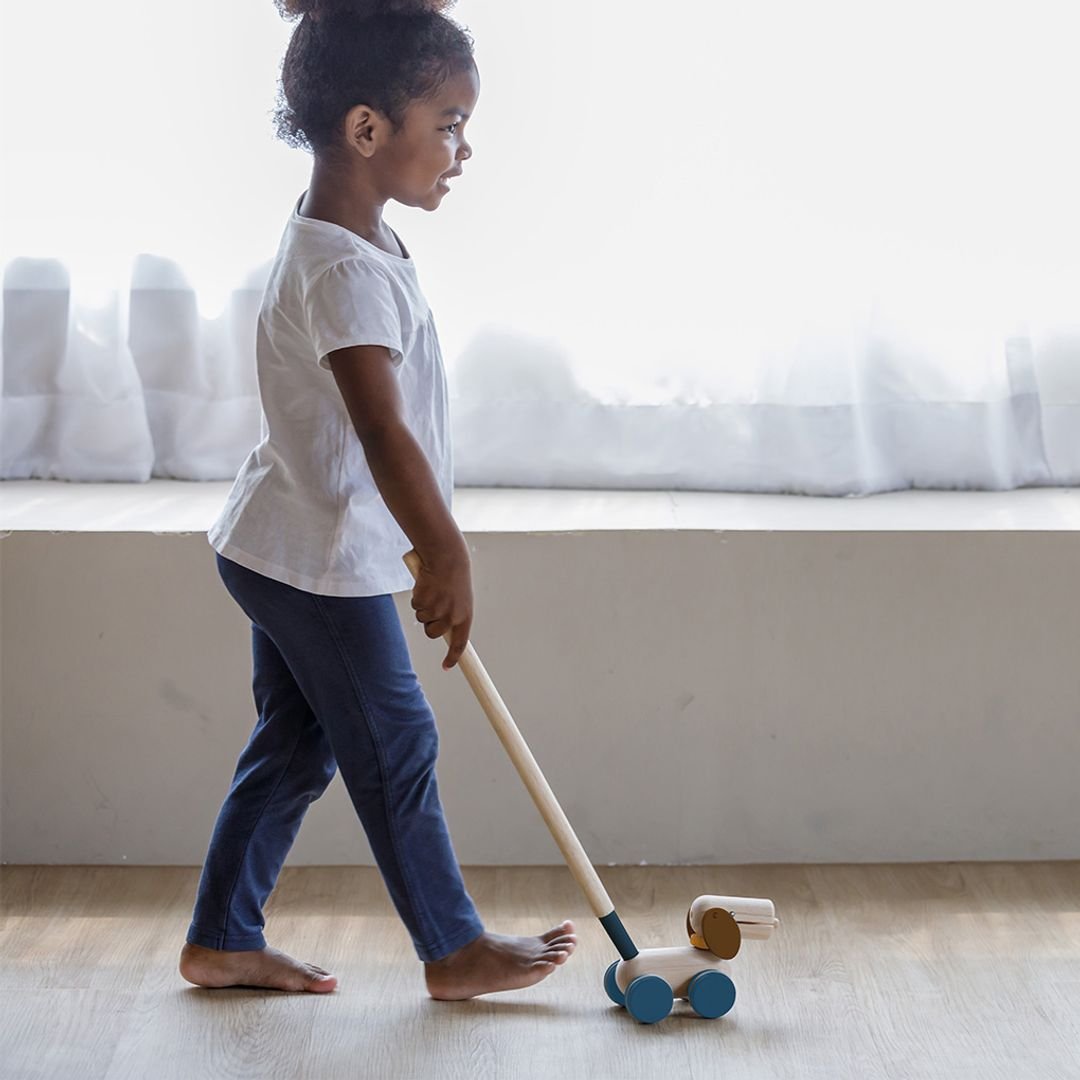 Push & Pull Puppy - The Nurturing Nook