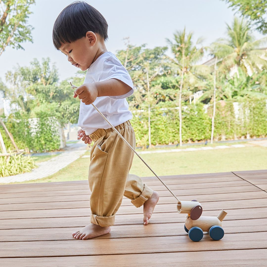 Push & Pull Puppy - The Nurturing Nook