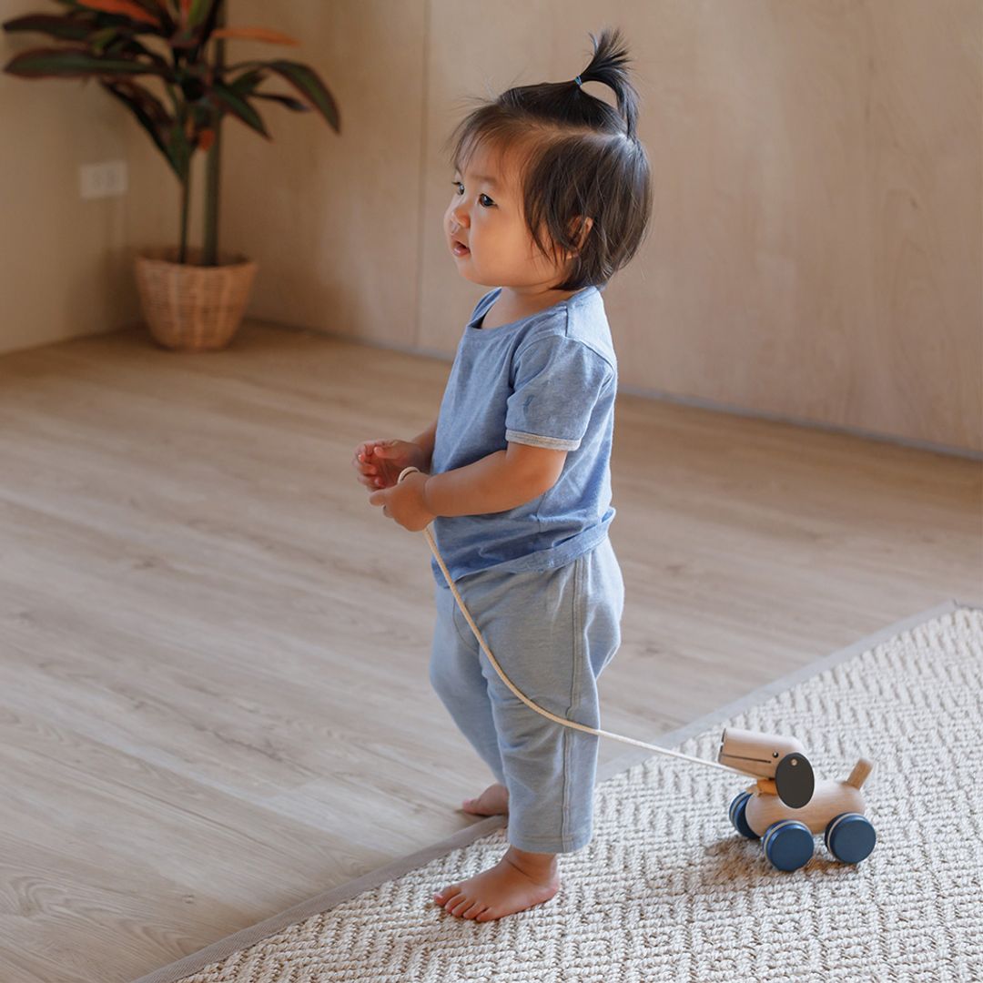 Push & Pull Puppy - The Nurturing Nook