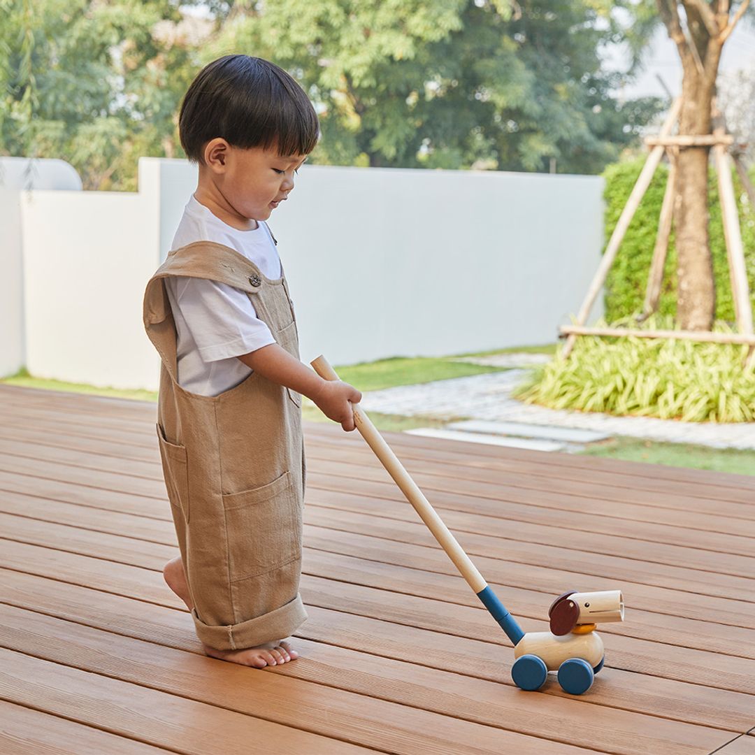 Push & Pull Puppy - The Nurturing Nook