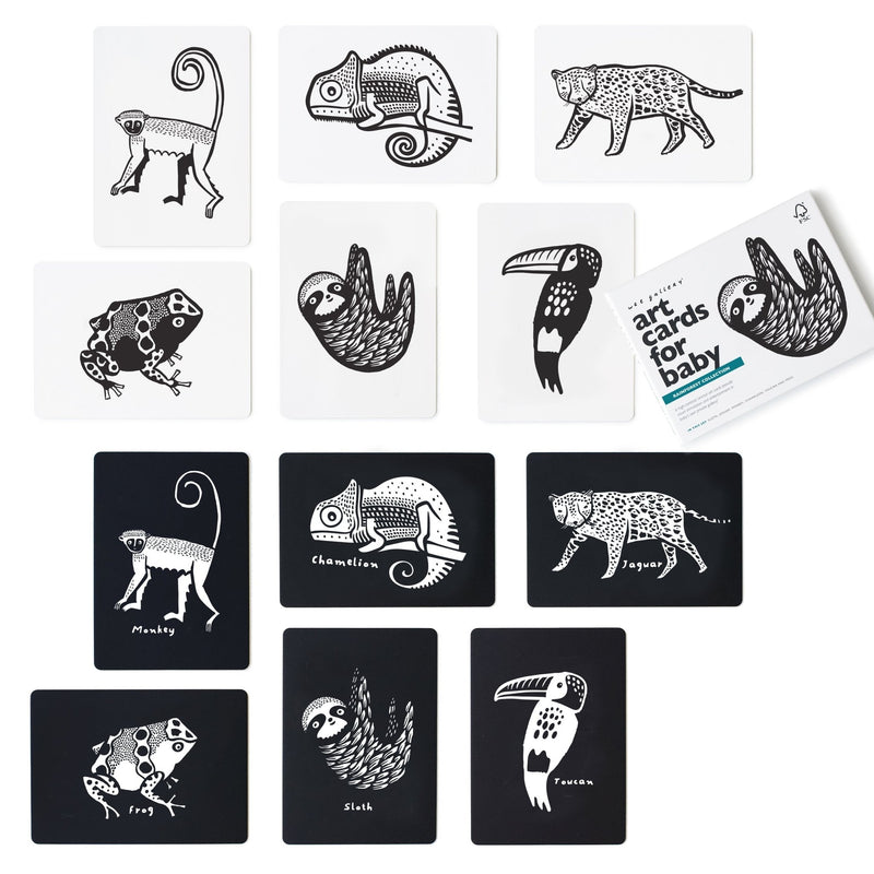 Rainforest art cards for baby - high-contrast flashcards