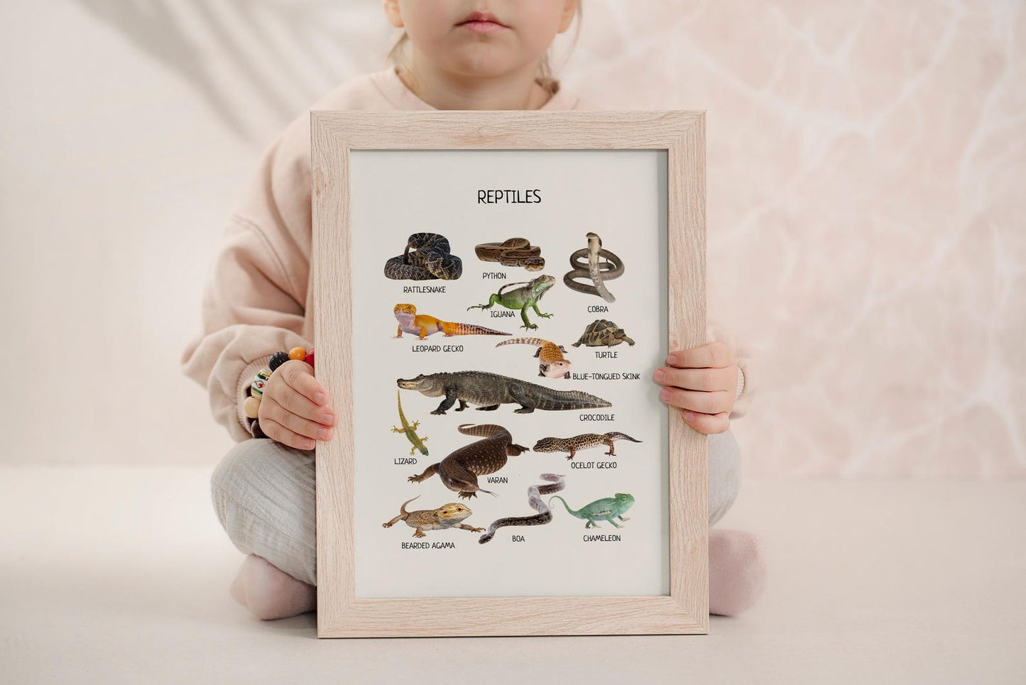 Reptiles & Amphibians Poster - Montessori Educational Animal Print for Toddler Room & Classroom Decor | Digital Download - The Nurturing Nook