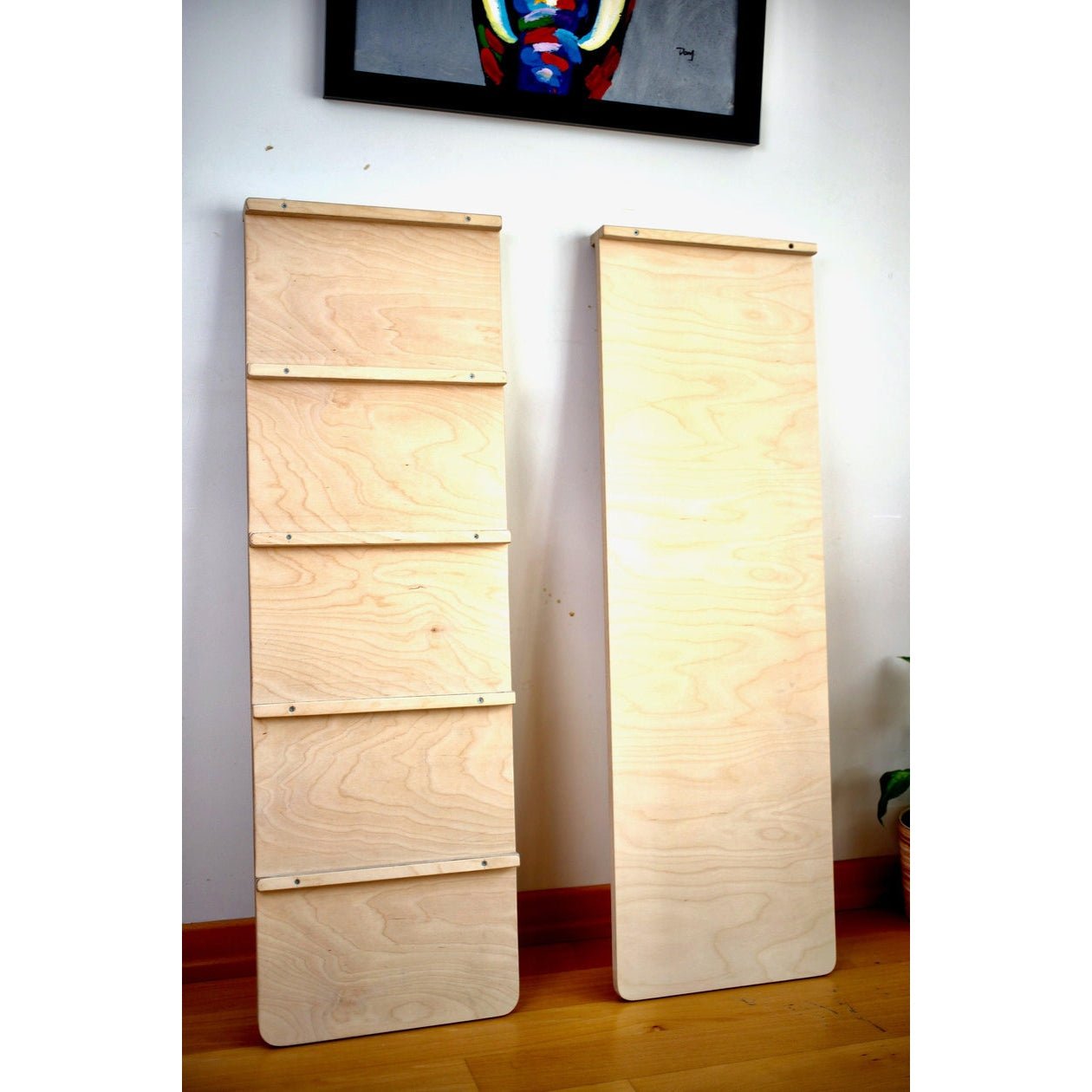 Reversible Ladder Climbing / Sliding Ramp - The Nurturing Nook