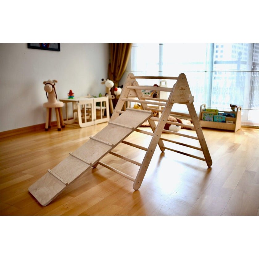Reversible Ladder Climbing / Sliding Ramp - The Nurturing Nook