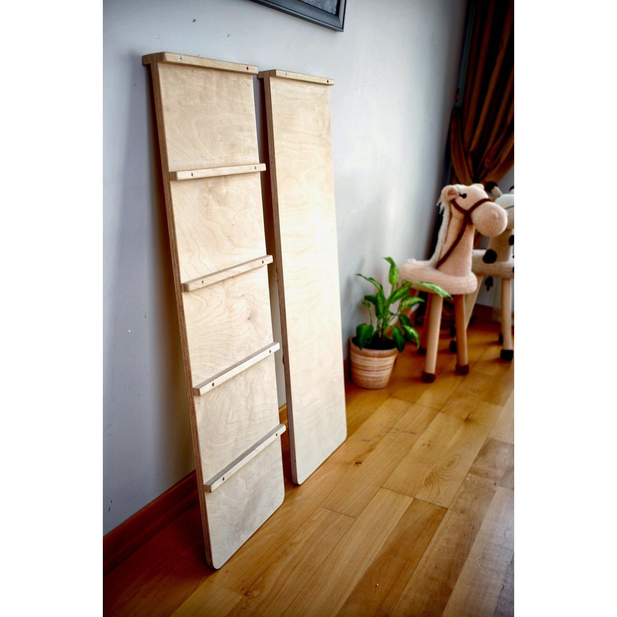 Reversible Ladder Climbing / Sliding Ramp - The Nurturing Nook