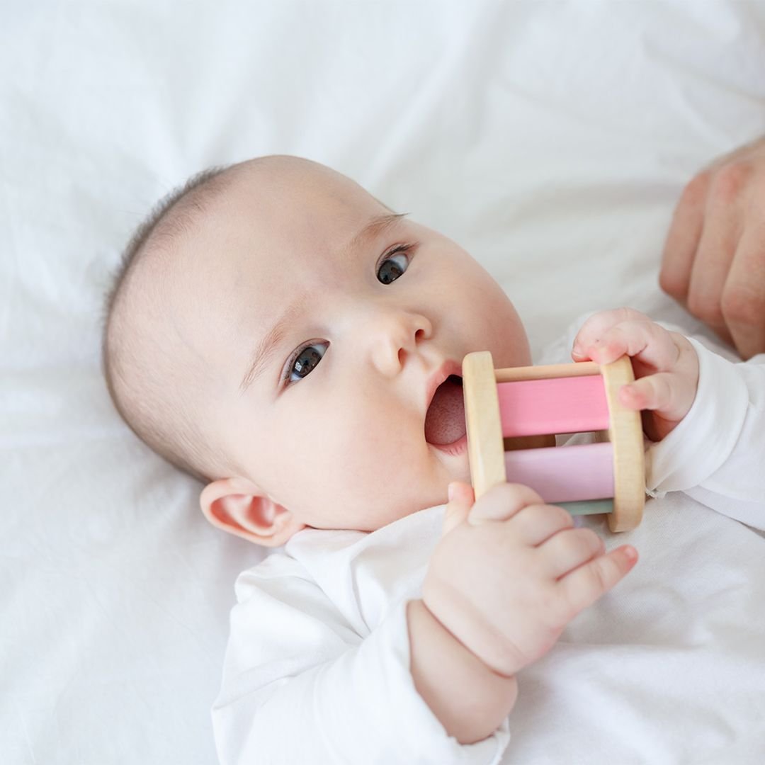 Roller - Pastel - The Nurturing Nook