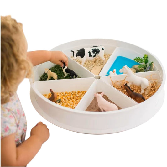 Sensory Play Tray with Removable Compartments and Lid - The Nurturing Nook