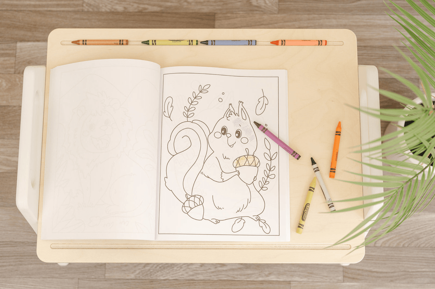 The Play Tray - The Nurturing Nook