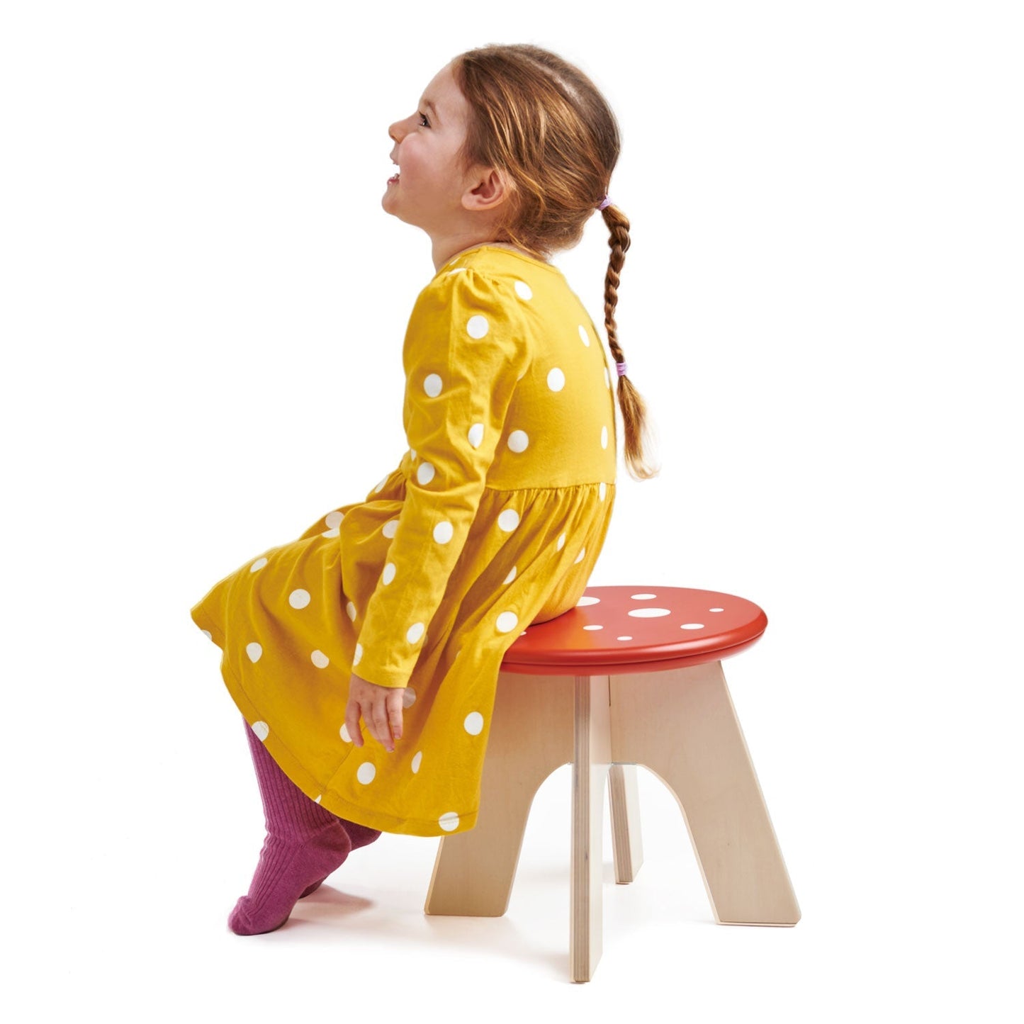 Toadstool - The Nurturing Nook