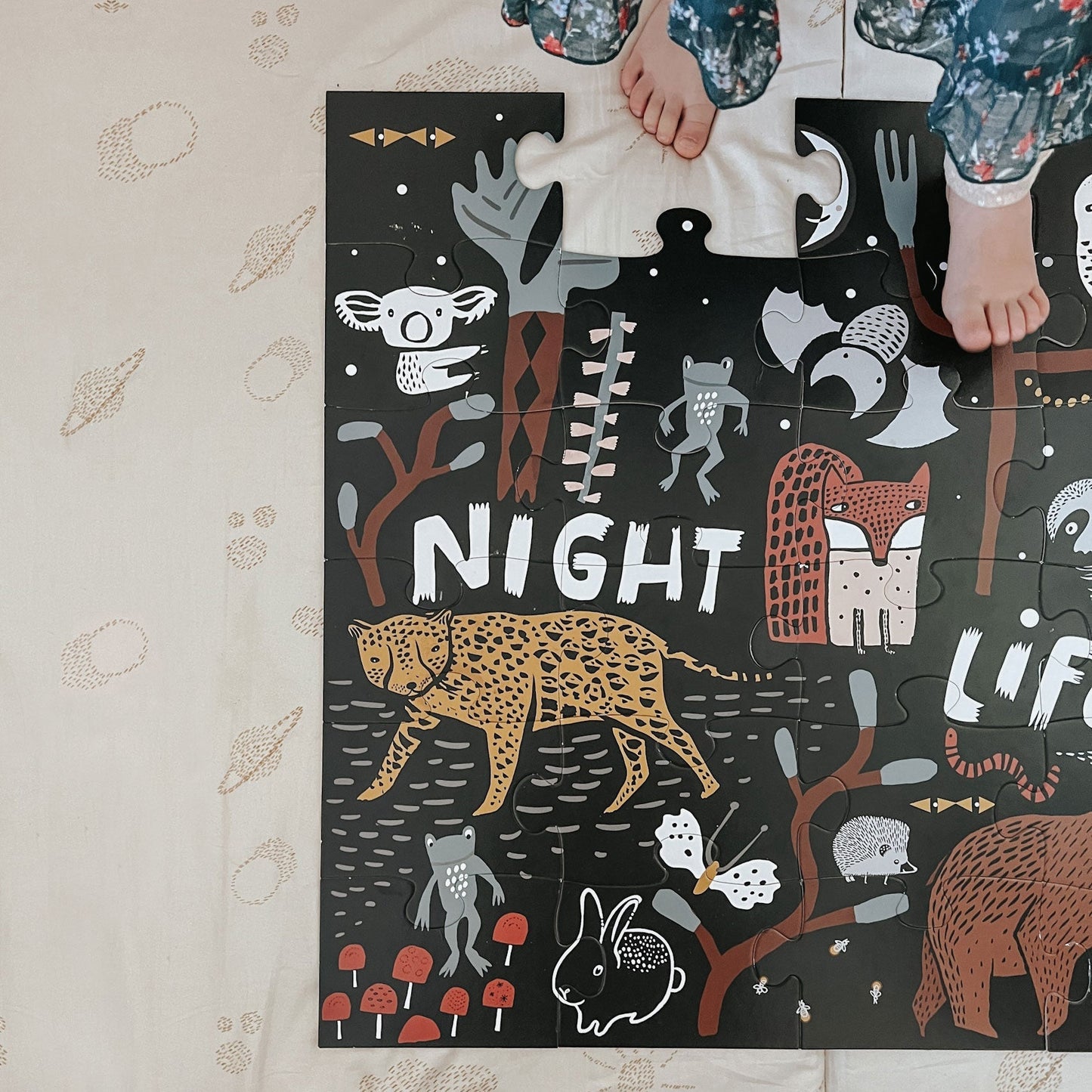 Wild adventure bundle - The Nurturing Nook