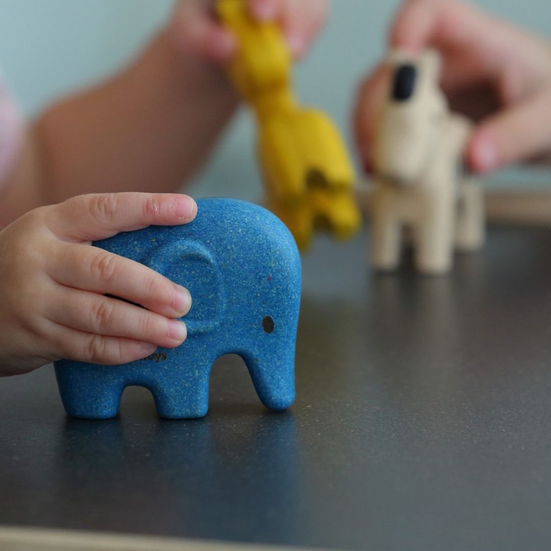 Wild Animals Set - The Nurturing Nook