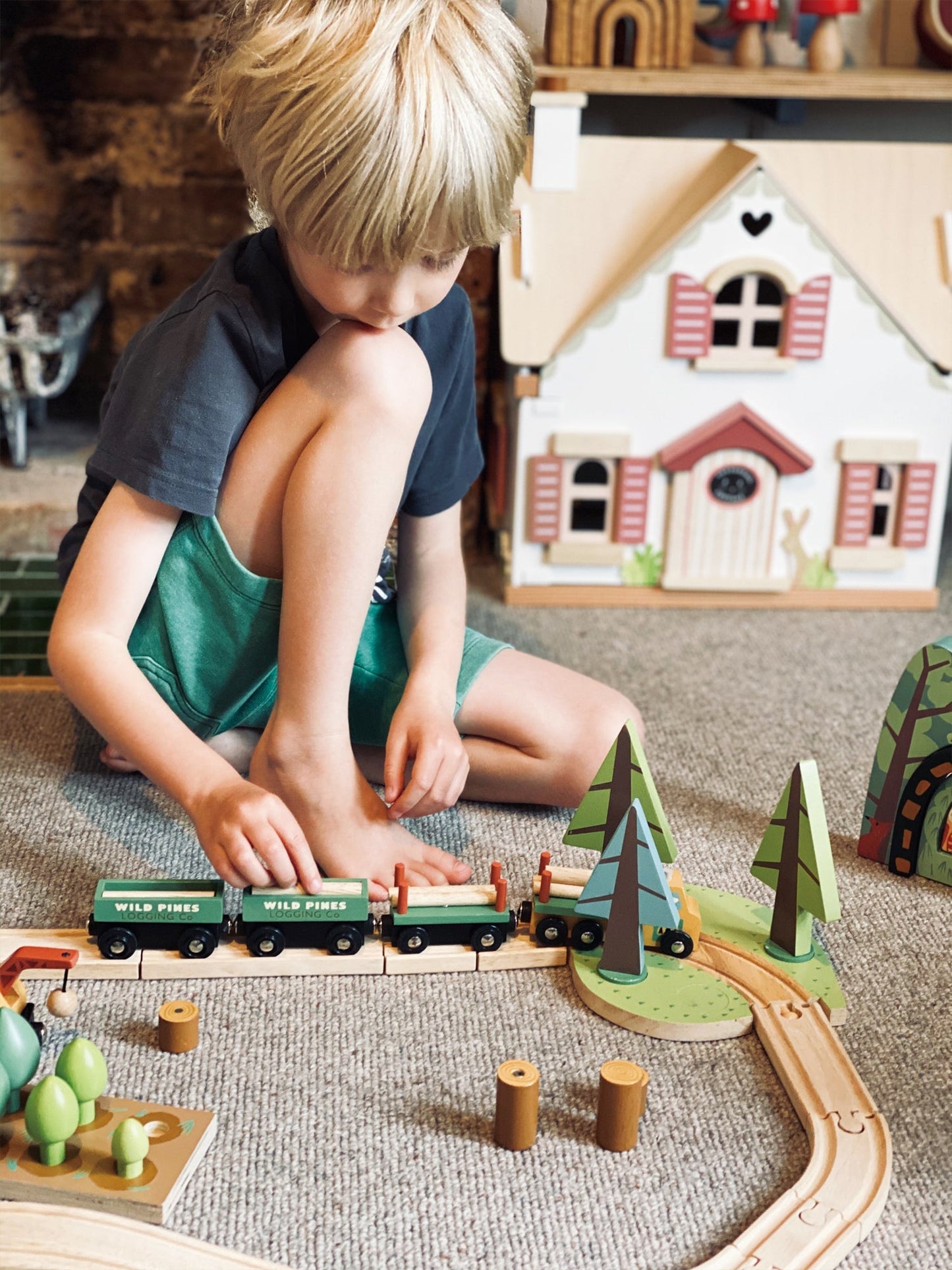 Wild Pines Train Set - The Nurturing Nook