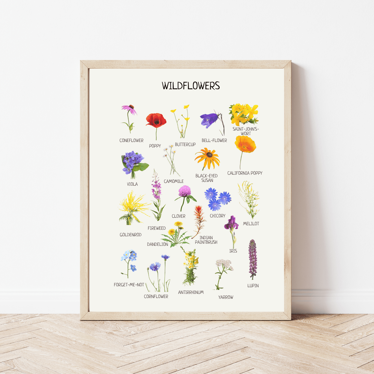 Wildflowers Poster - Educational Nature Wall Art for Kids’ Room, Nursery & Montessori Classroom | Digital Download - The Nurturing Nook