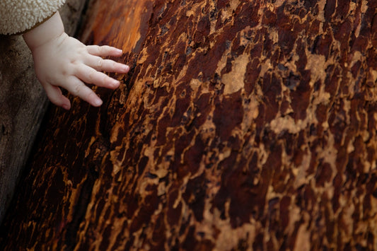 Embracing Nature: Why the Montessori Education System Prefers Natural Materials - The Nurturing Nook