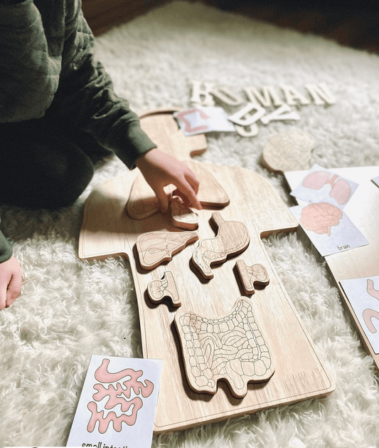 Wondering How to Use Montessori Principles in Your Homeschooling Journey? - The Nurturing Nook