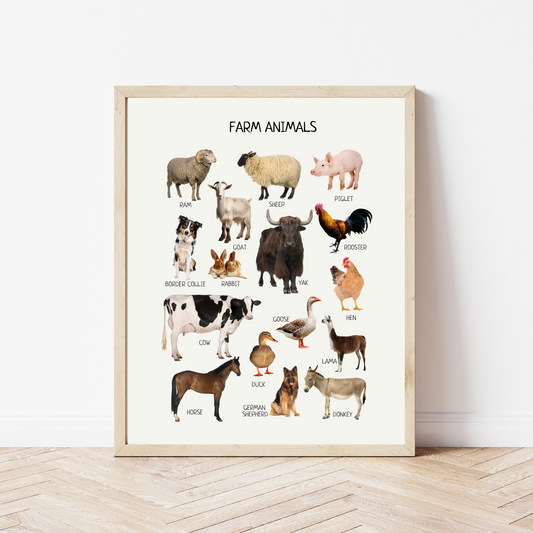 Farm Animals Poster - Montessori Educational Wall Art for Kids' Nursery, Playroom & Classroom | Digital Download