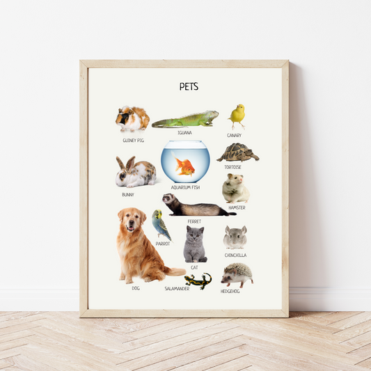 Pets Animal Poster - Educational Printable Wall Art, Kids Learning Poster, Preschool Animals Print, Nursery Room Decor - DIGITAL DOWNLOAD