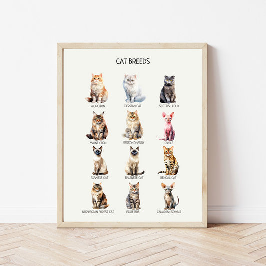 Cat Breeds Poster - Educational Montessori Wall Art for Classroom, Nursery & Kids’ Room | Digital Download