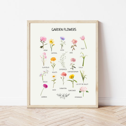 Educational Flowers Poster - Botanical Wall Art for Montessori Classroom, Kids’ Homeschool & Nursery Decor | Digital Download