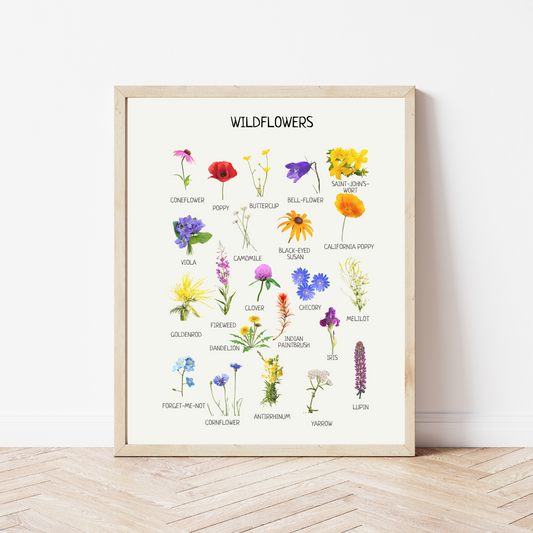 Wildflowers Poster - Educational Nature Wall Art for Kids’ Room, Nursery & Montessori Classroom | Digital Download