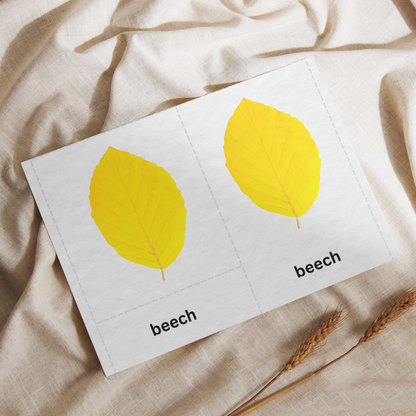 Woodland Leaves 3-Part Cards | Montessori Nature Learning Cards | Fall Educational Printable for Kids