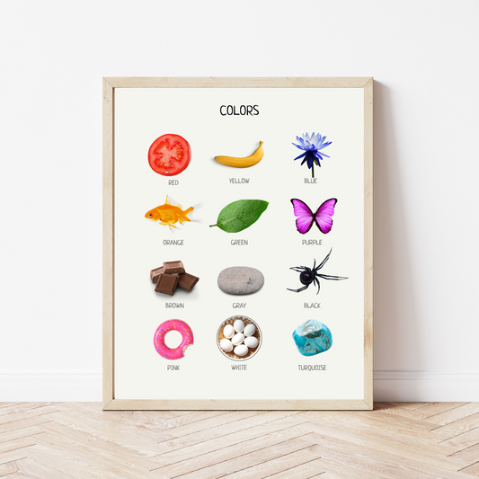 Colors Educational Poster - Montessori Learning Wall Art for Kids, Classroom & Teacher Decor | Digital Download