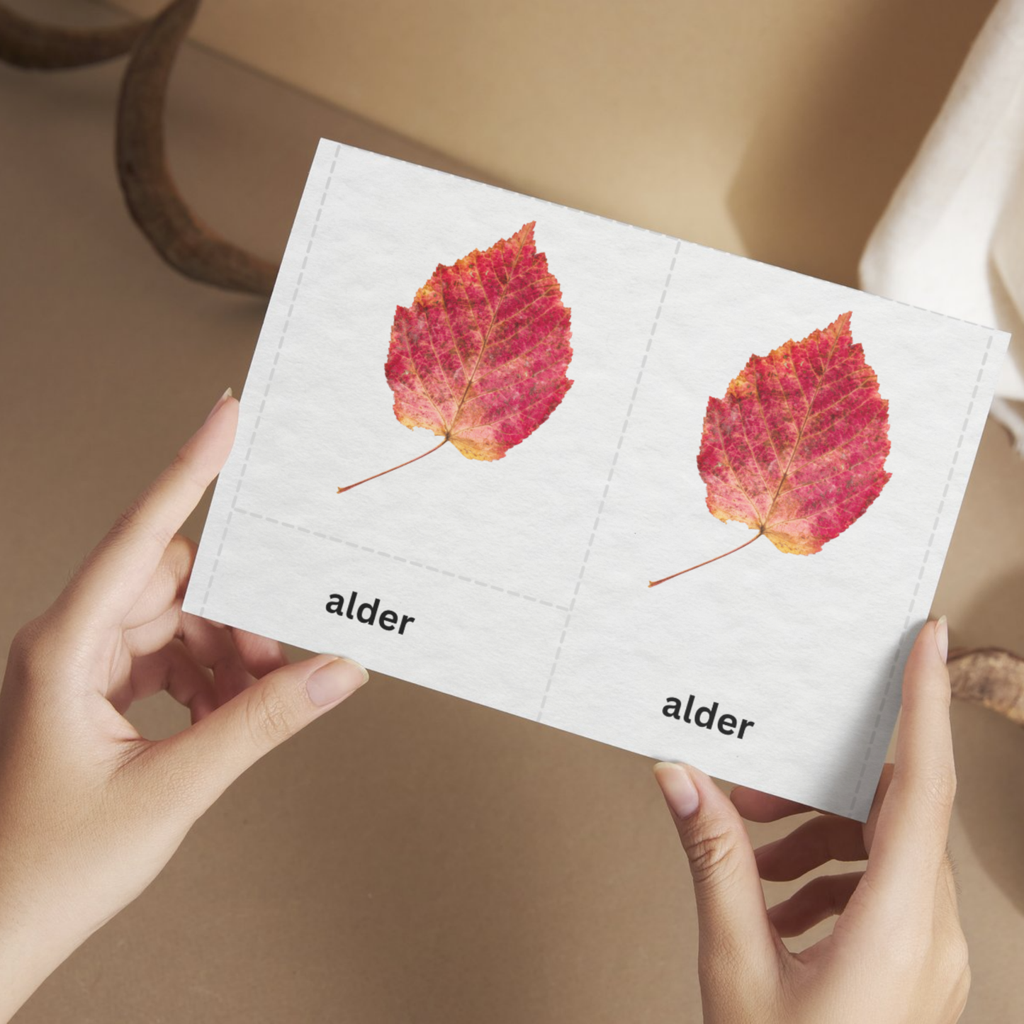 Woodland Leaves 3-Part Cards | Montessori Nature Learning Cards | Fall Educational Printable for Kids