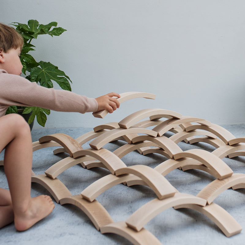 **Pre-order (Ships in 2-3 Weeks)** 42 Pcs Combination Set with 12 Large and 30 Mini Curved Natural Wooden Building Blocks