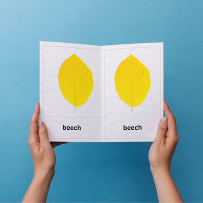 Woodland Leaves 3-Part Cards | Montessori Nature Learning Cards | Fall Educational Printable for Kids