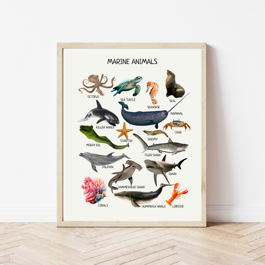 Marine Animals Poster - Under the Sea Educational Print for Classroom, Nursery & Playroom Decor | Digital Download