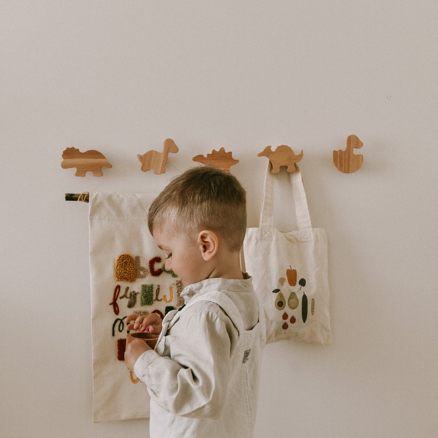 Dinosaurs Wall Hooks