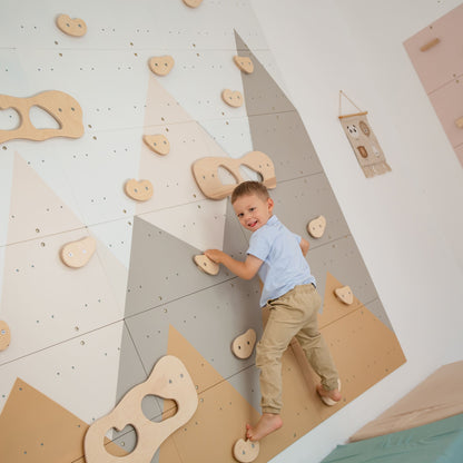 Indoor Climbing Wall