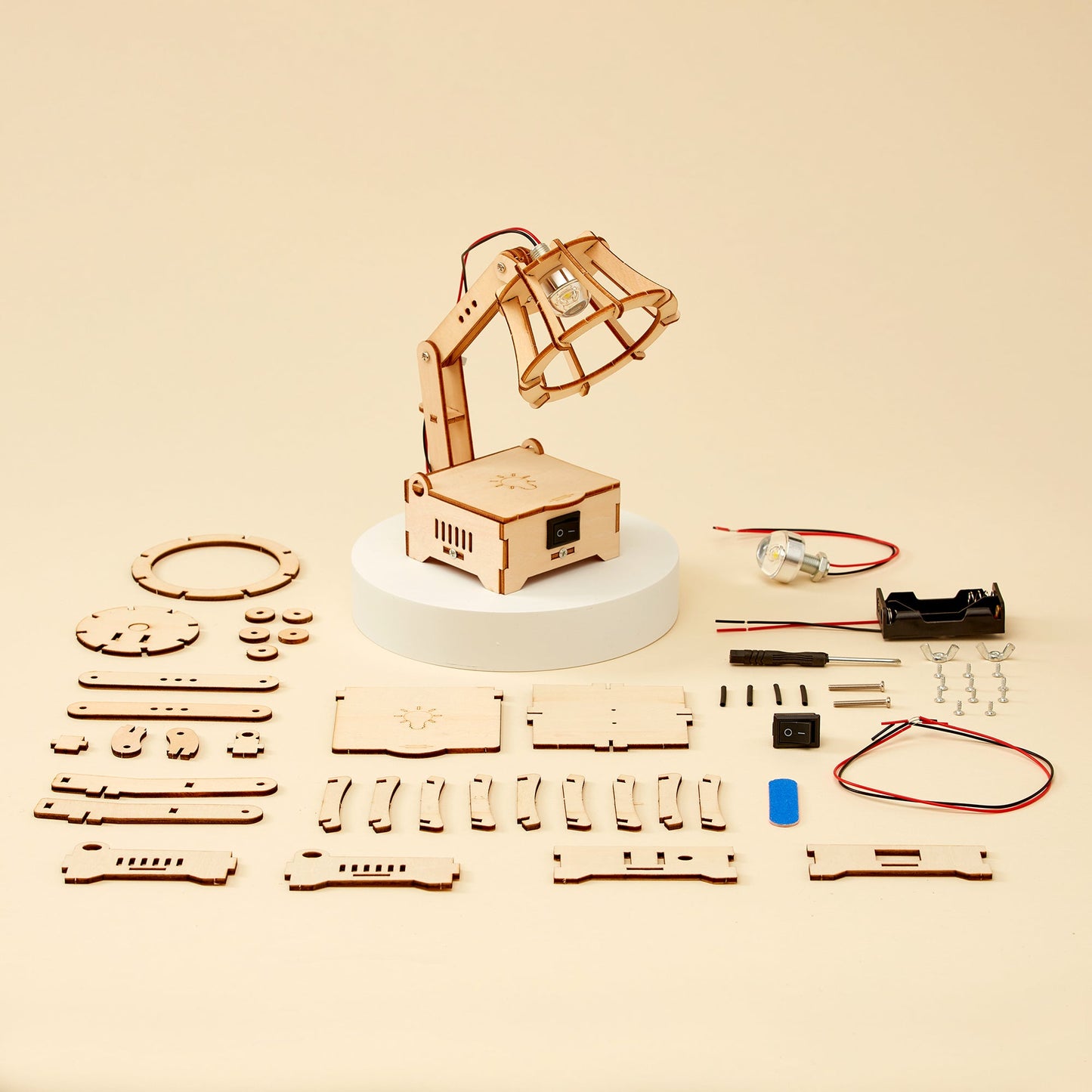 LED Lamp DIY Kit, Educational STEM Toy