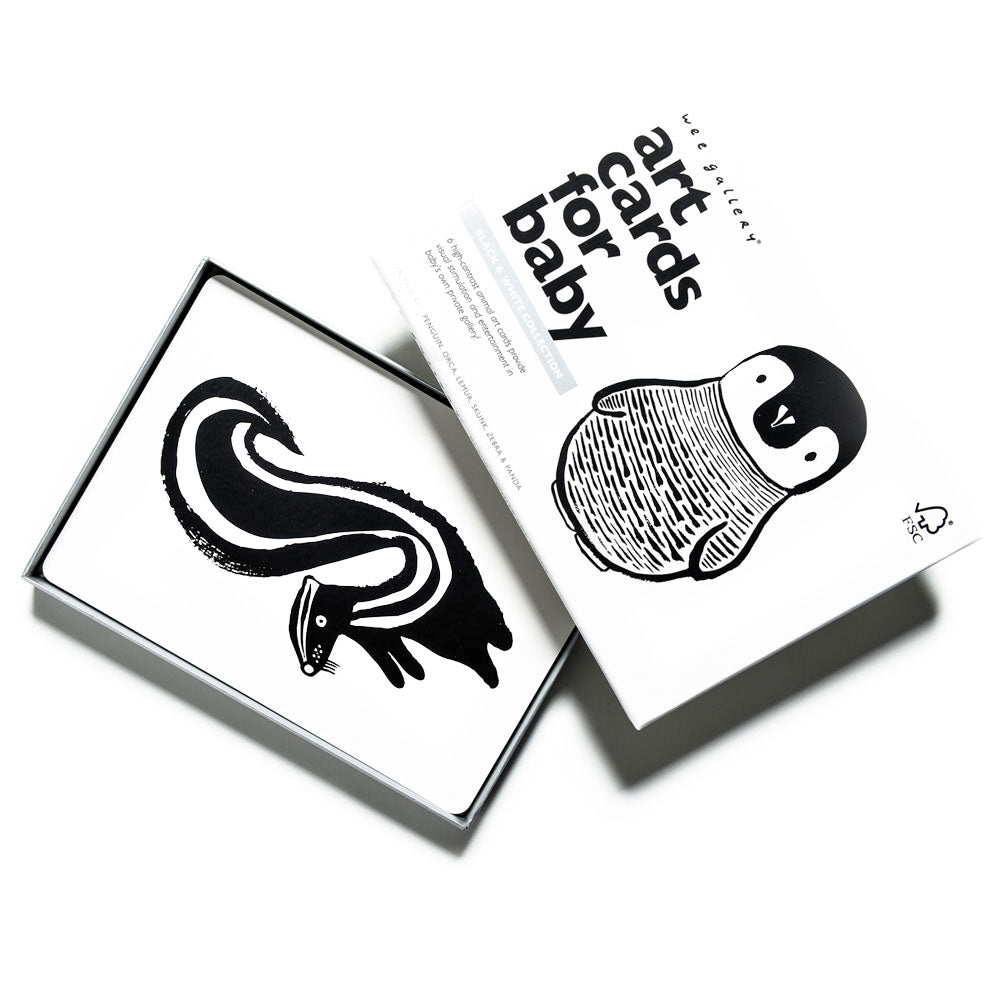 Art Cards for Baby - Black and White Collection - The Nurturing Nook