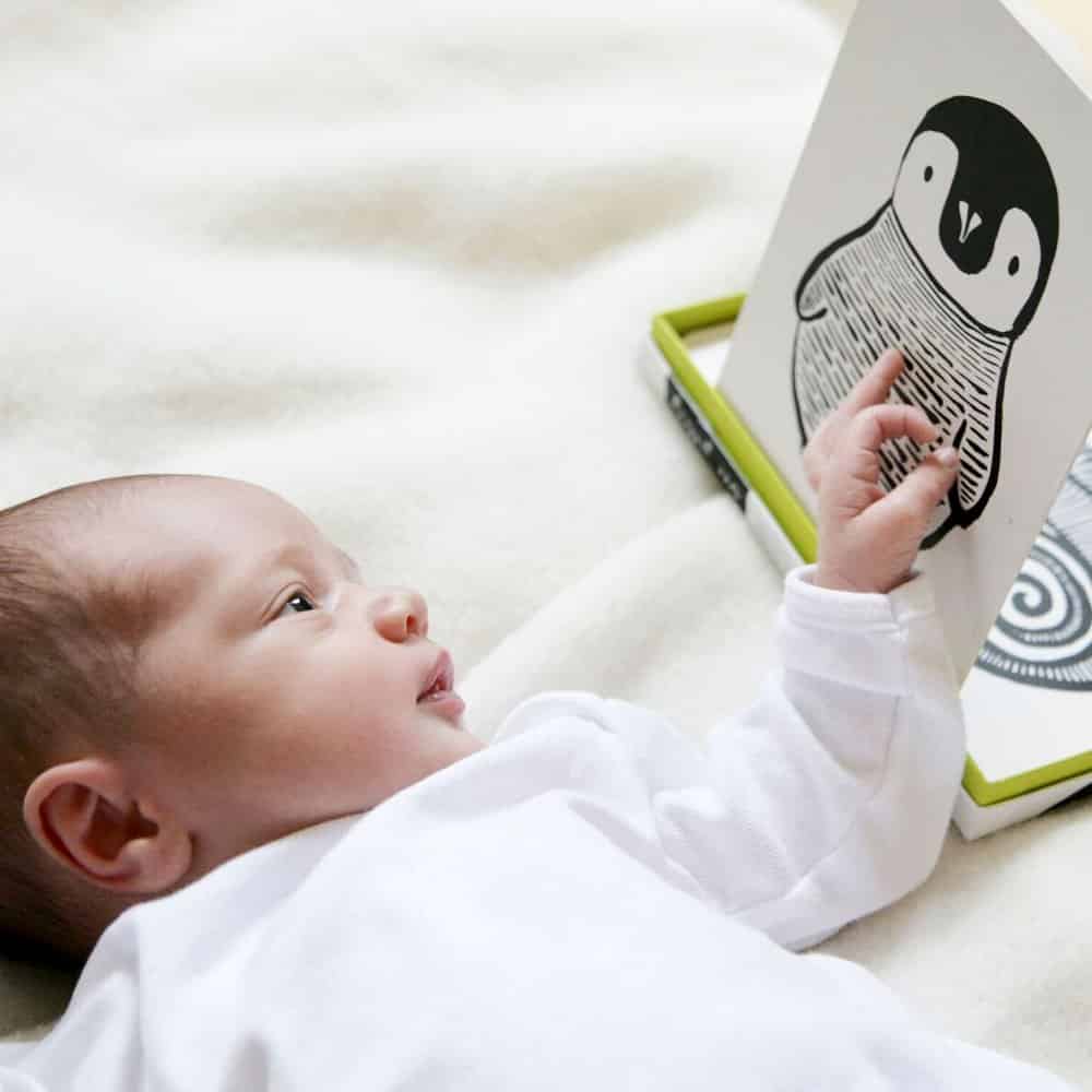 Art Cards for Baby - Black and White Collection - The Nurturing Nook