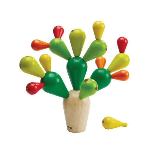 Balancing Cactusㅤ - The Nurturing Nook