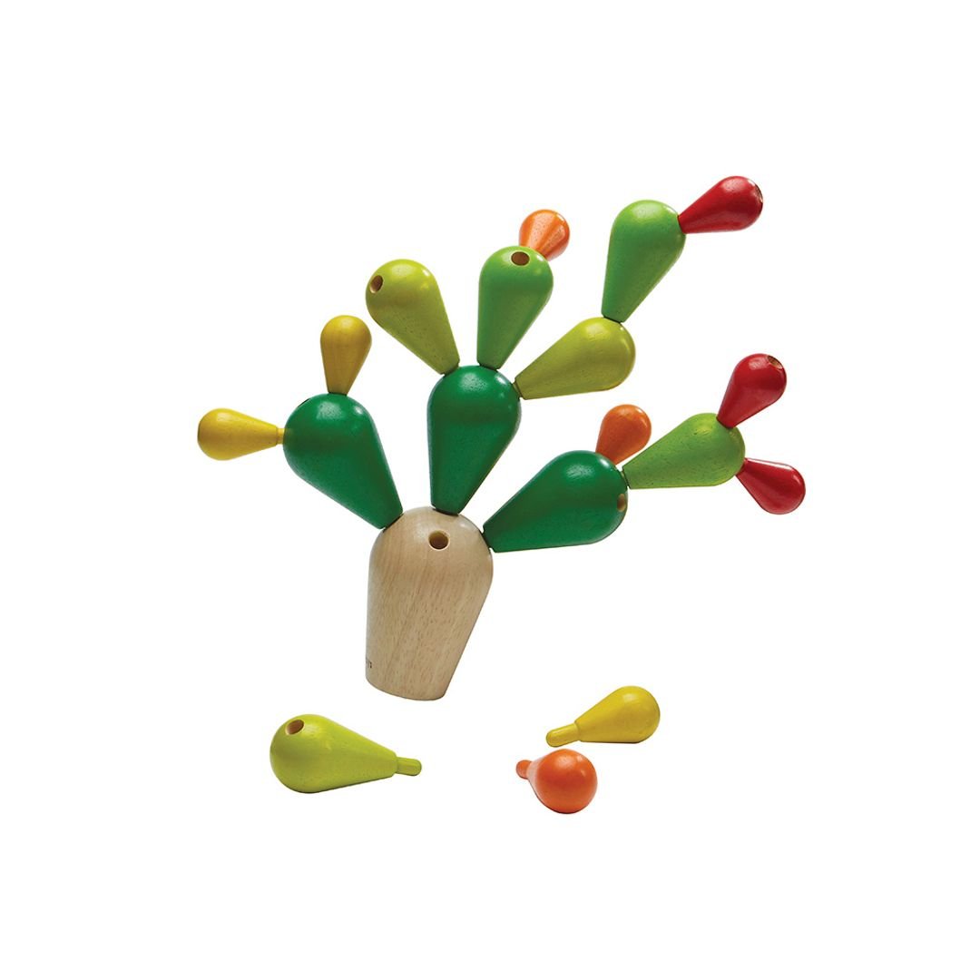 Balancing Cactusㅤ - The Nurturing Nook