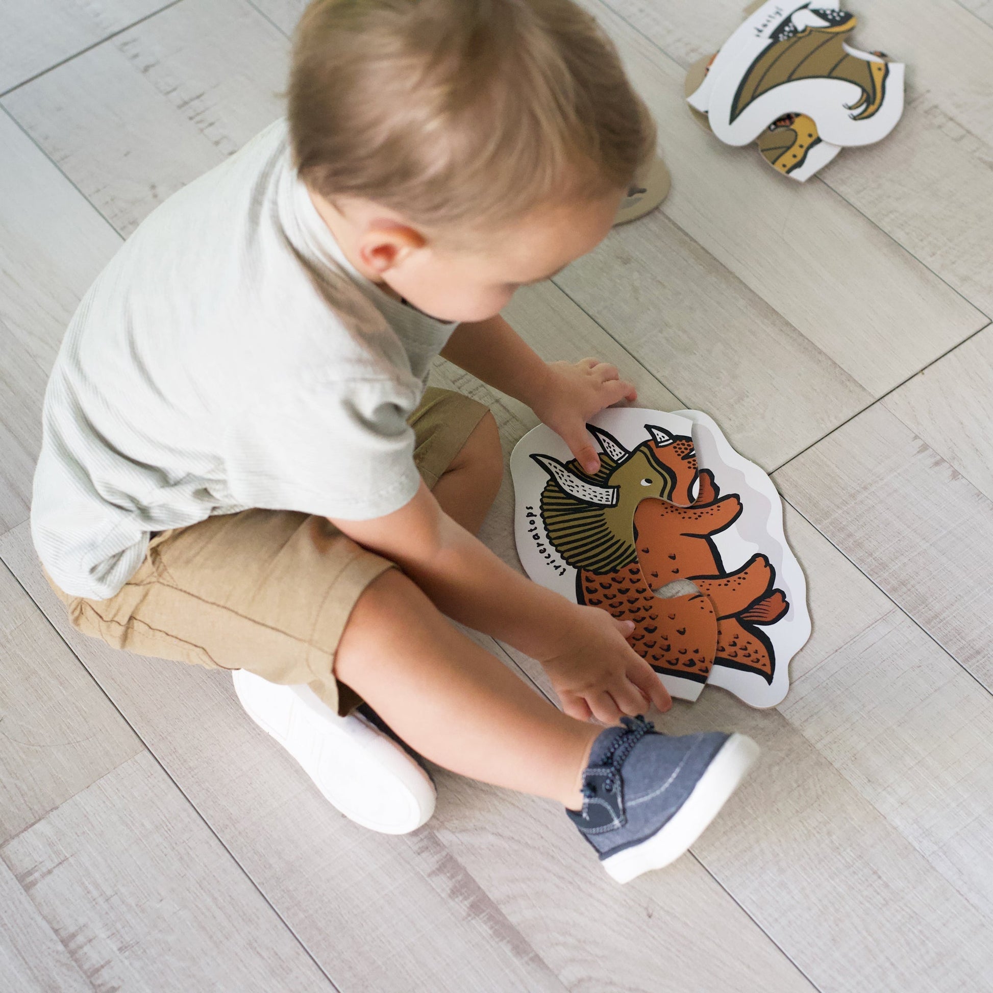 Beginner Puzzles - Dinos - The Nurturing Nook