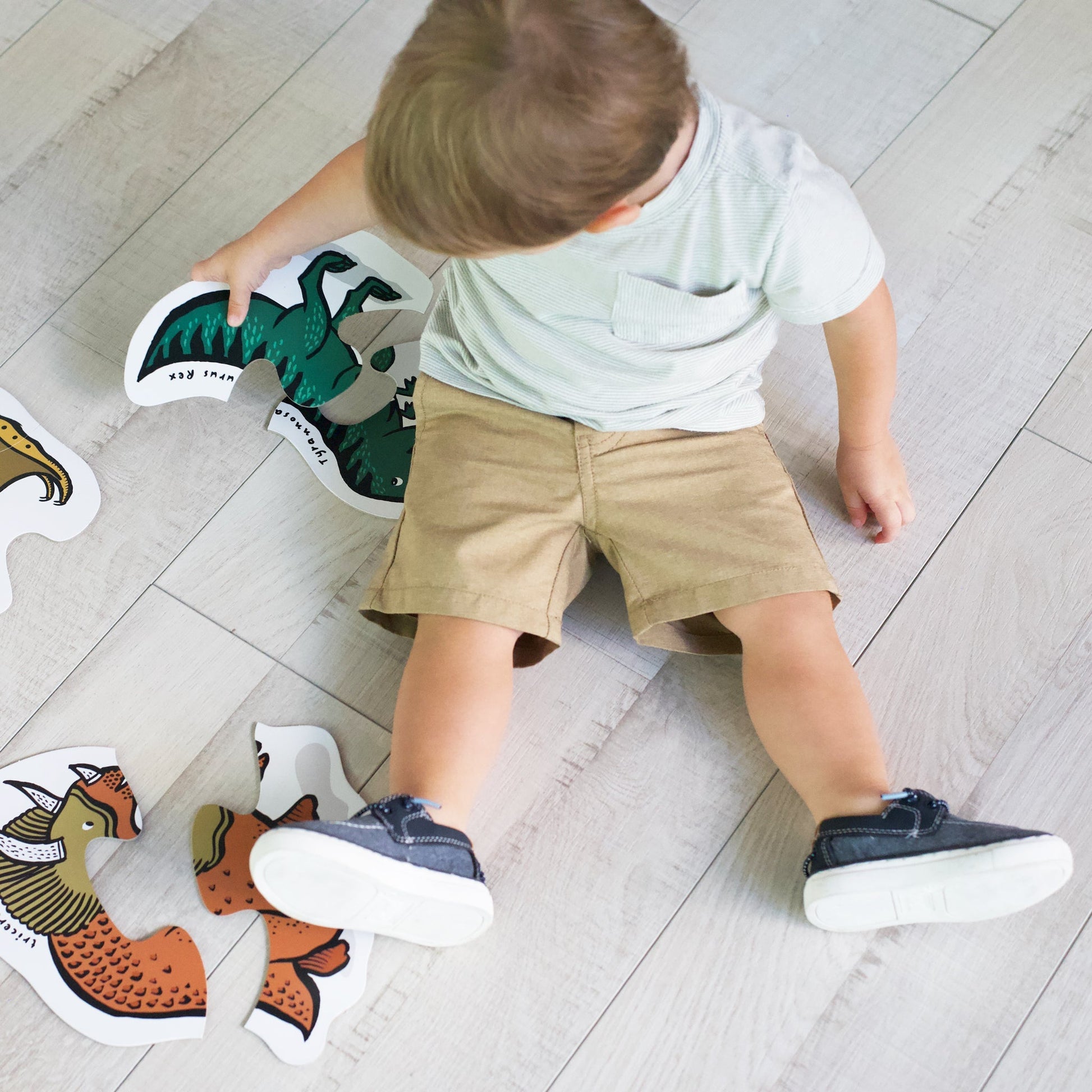 Beginner Puzzles - Dinos - The Nurturing Nook