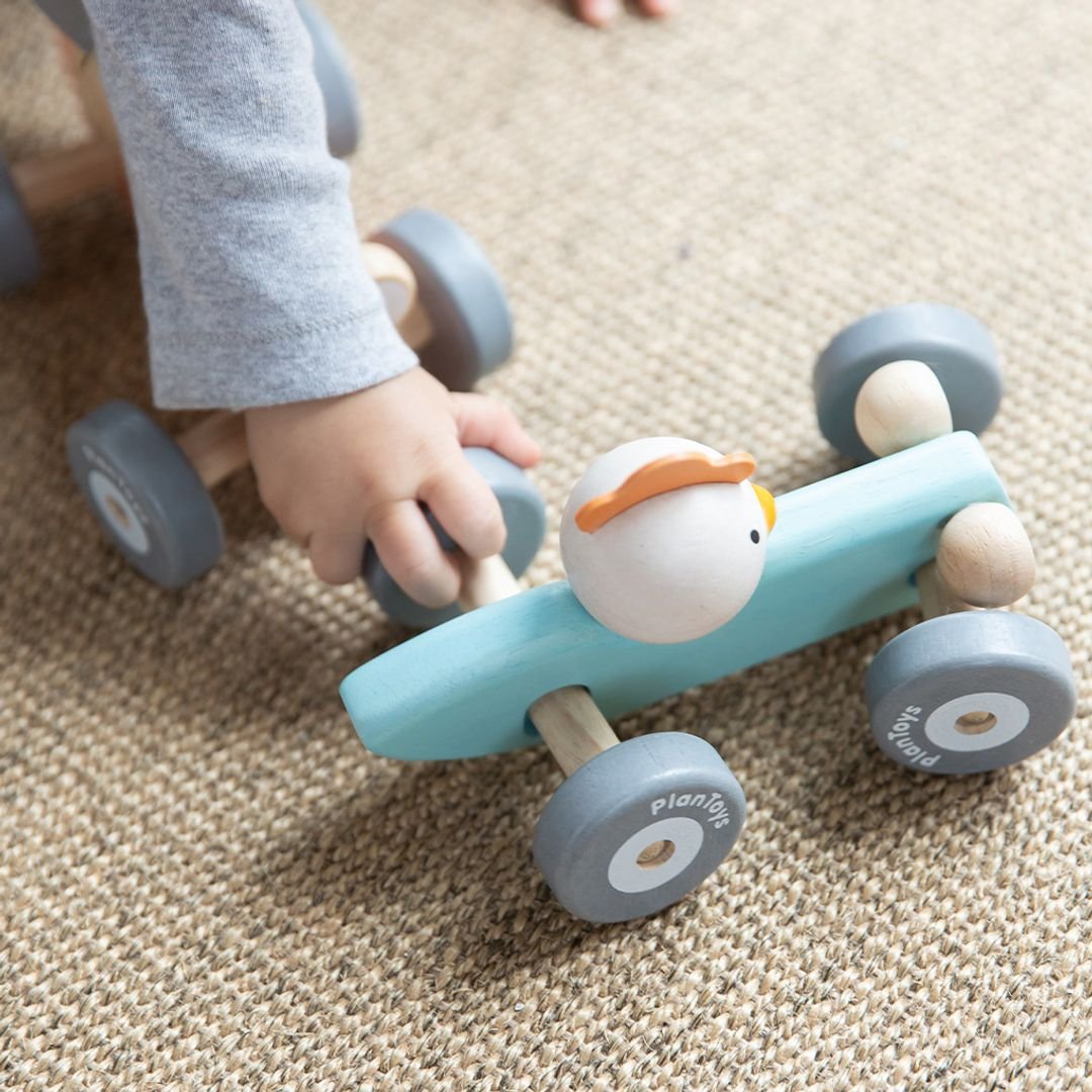 Chicken Racing Car - The Nurturing Nook