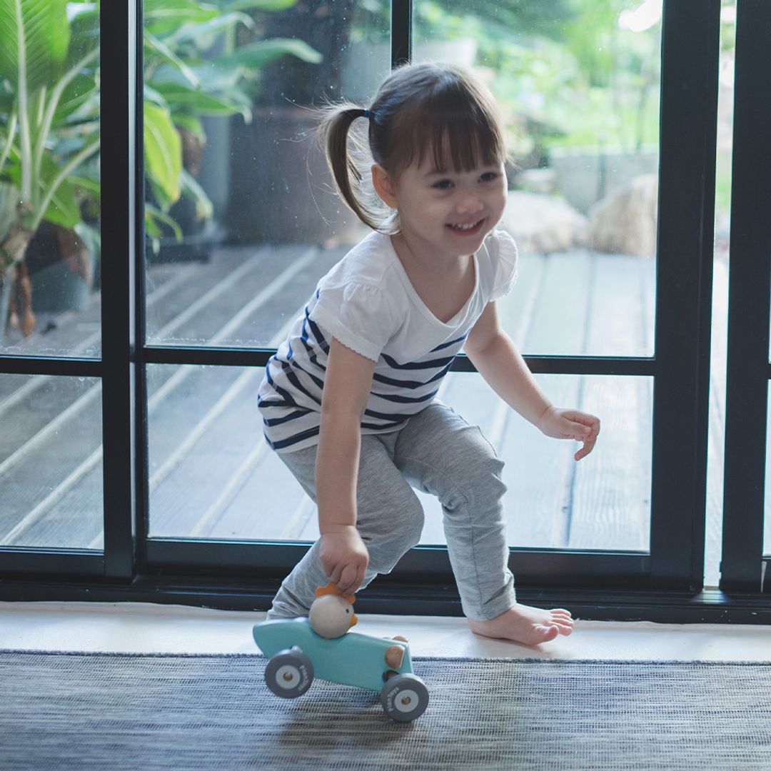 Chicken Racing Car - The Nurturing Nook