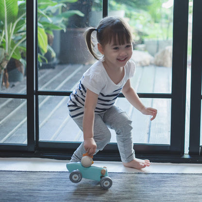 Chicken Racing Car - The Nurturing Nook