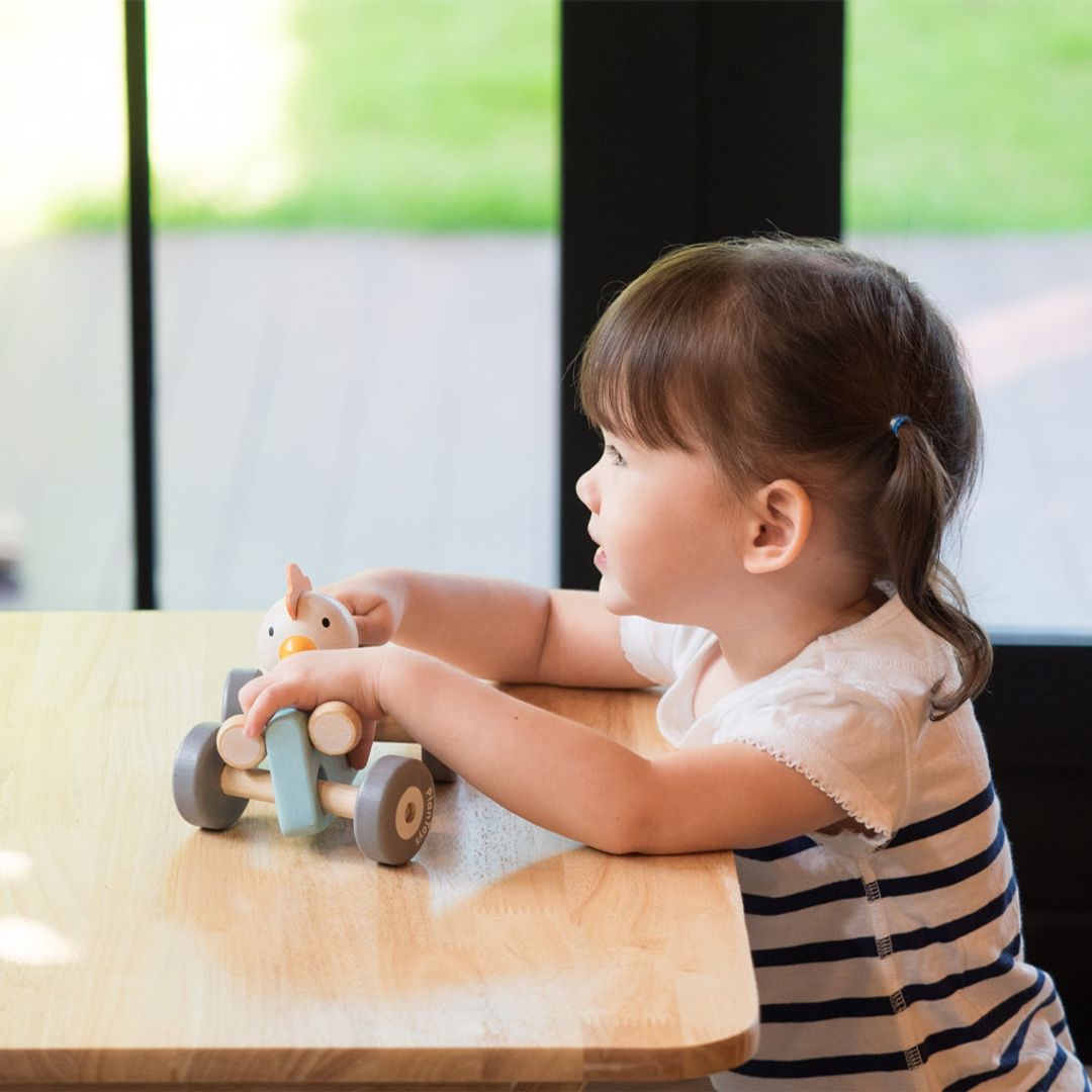 Chicken Racing Car - The Nurturing Nook
