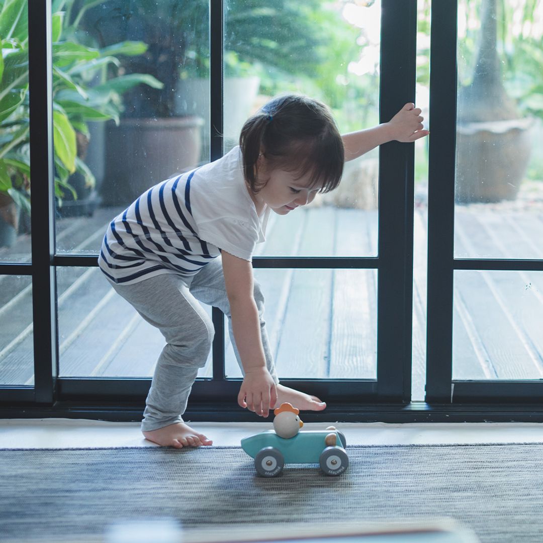 Chicken Racing Car - The Nurturing Nook