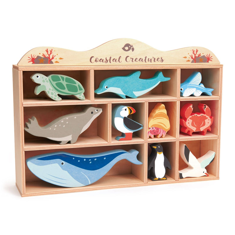 Tender Leaf coastal creatures display shelf for pretend play