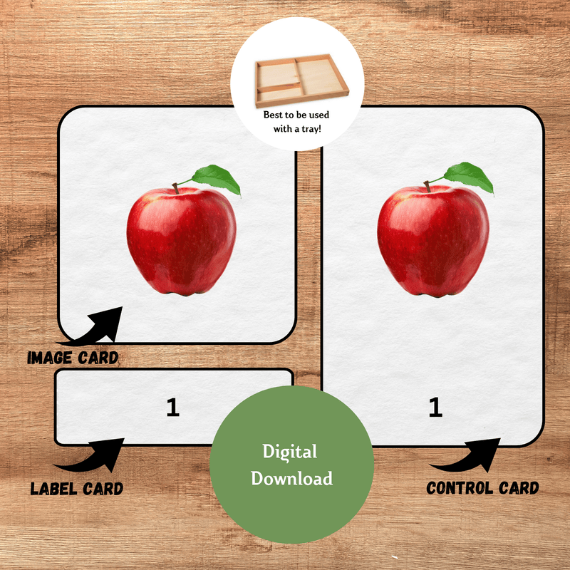 Count 1-10 Montessori 3-Part Cards | Preschool Vocabulary Activity| Pre-Reading Printable Cards