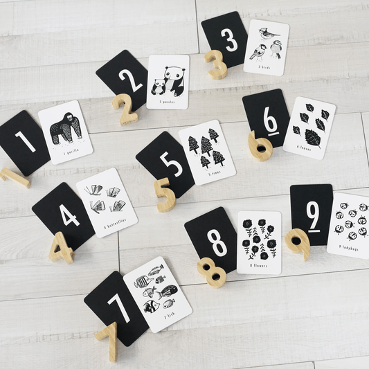 Counting Adventure Bundle - The Nurturing Nook