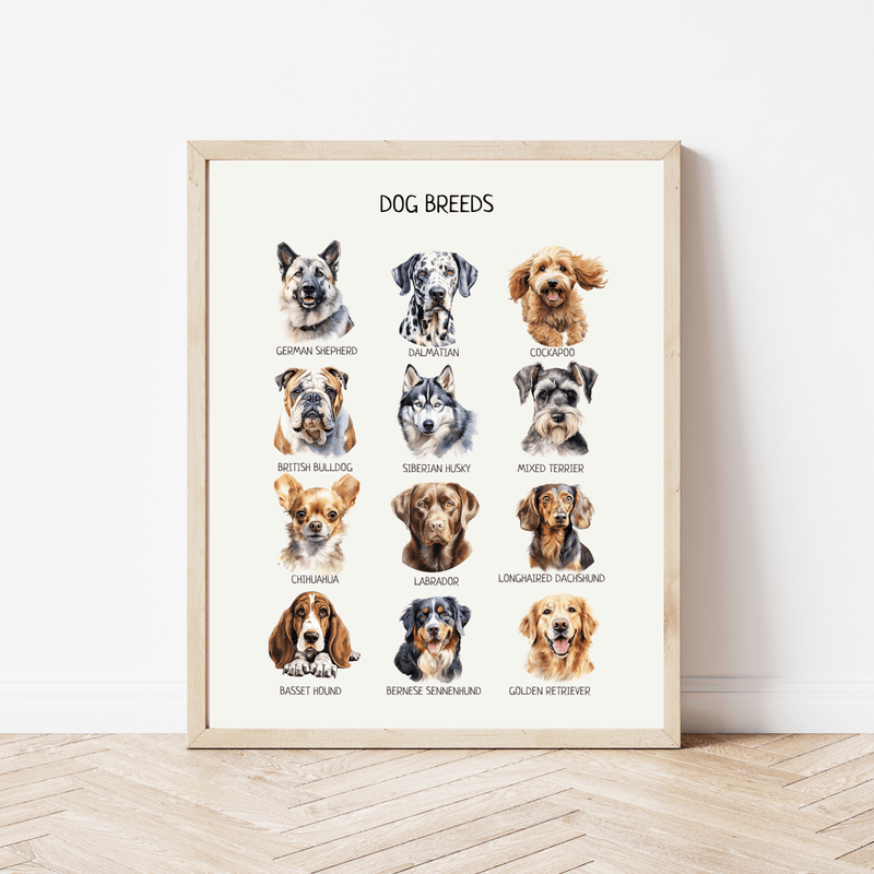 Dog Breeds Educational Poster - Montessori Wall Art for Kids’ Learning, Classroom & Nursery Decor | Digital Download